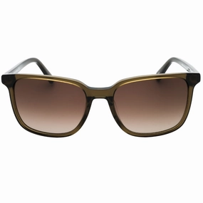 Banana Republic Brown SF Lensed Green Sunglasses