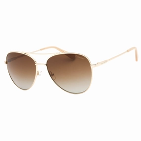 Banana Republic Brown SF PZ Lens Light Gold Sunglasses