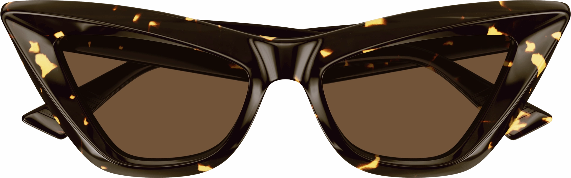Bottega Veneta BV1101S