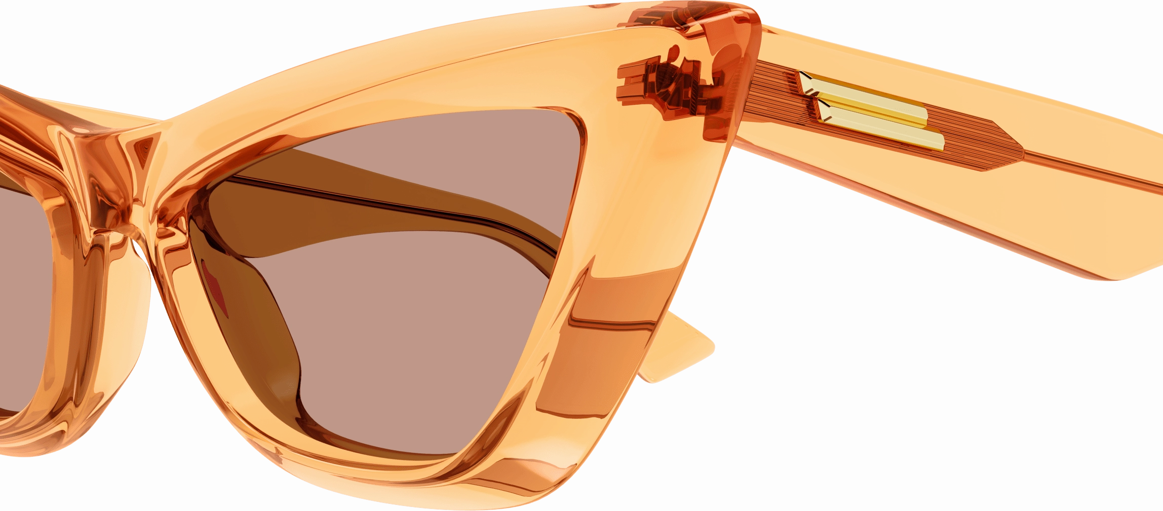 Bottega Veneta BV1101S
