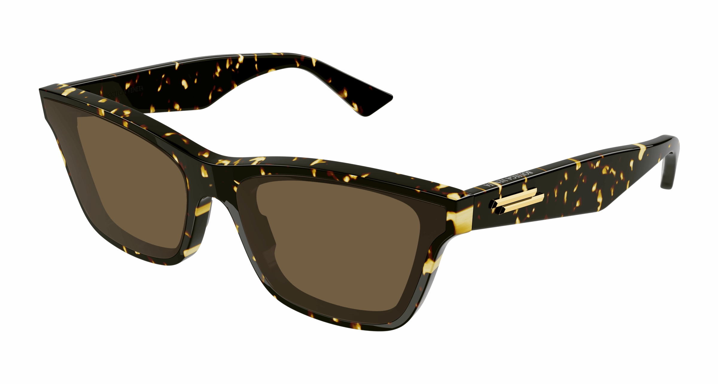 Bottega Veneta BV1119S