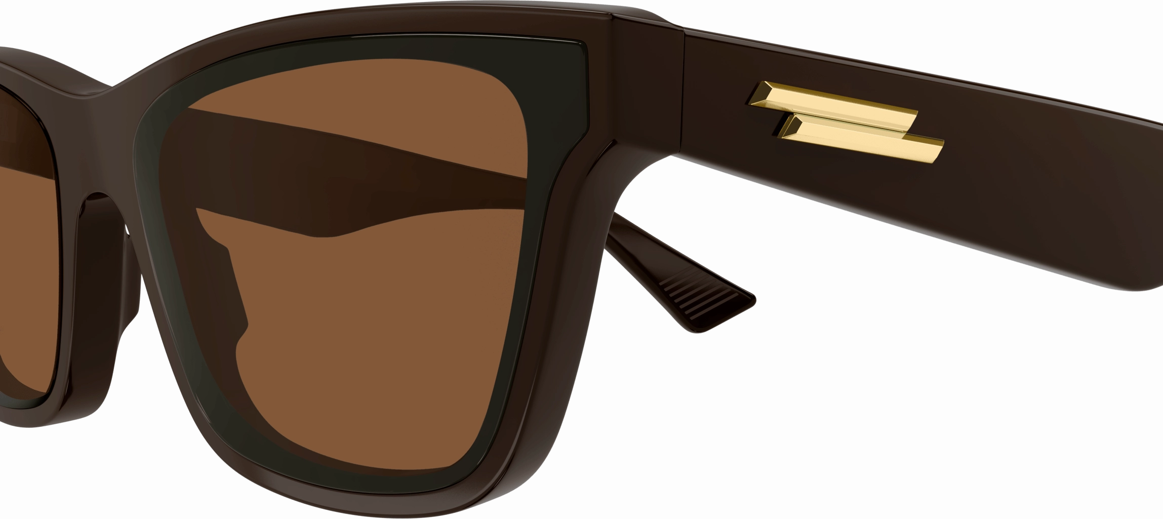 Bottega Veneta BV1119S