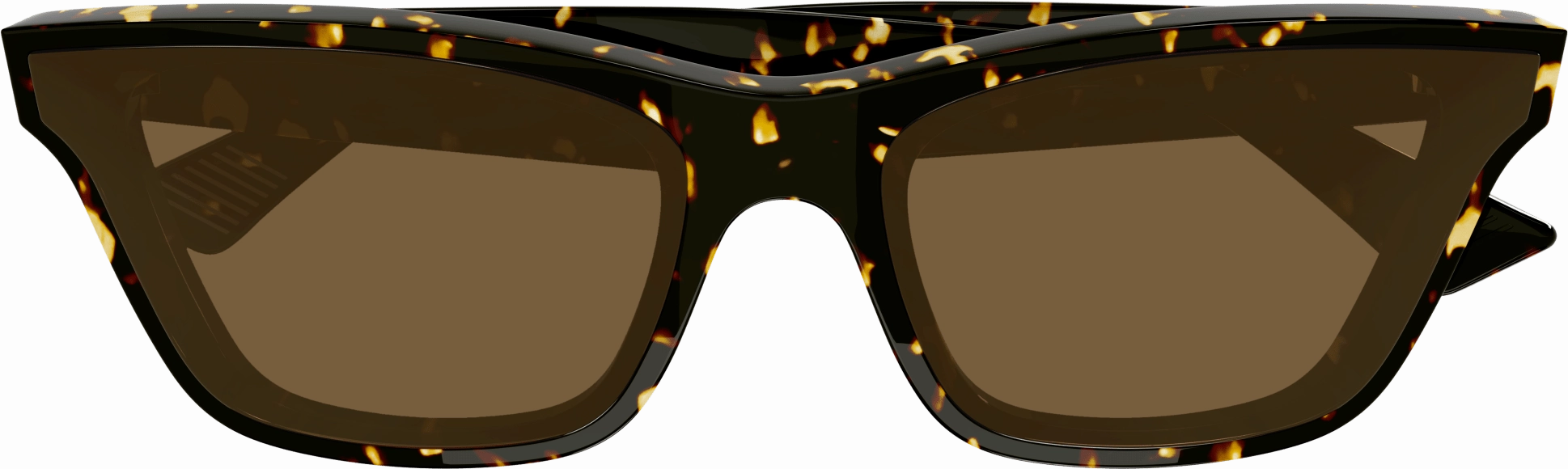 Bottega Veneta BV1119S