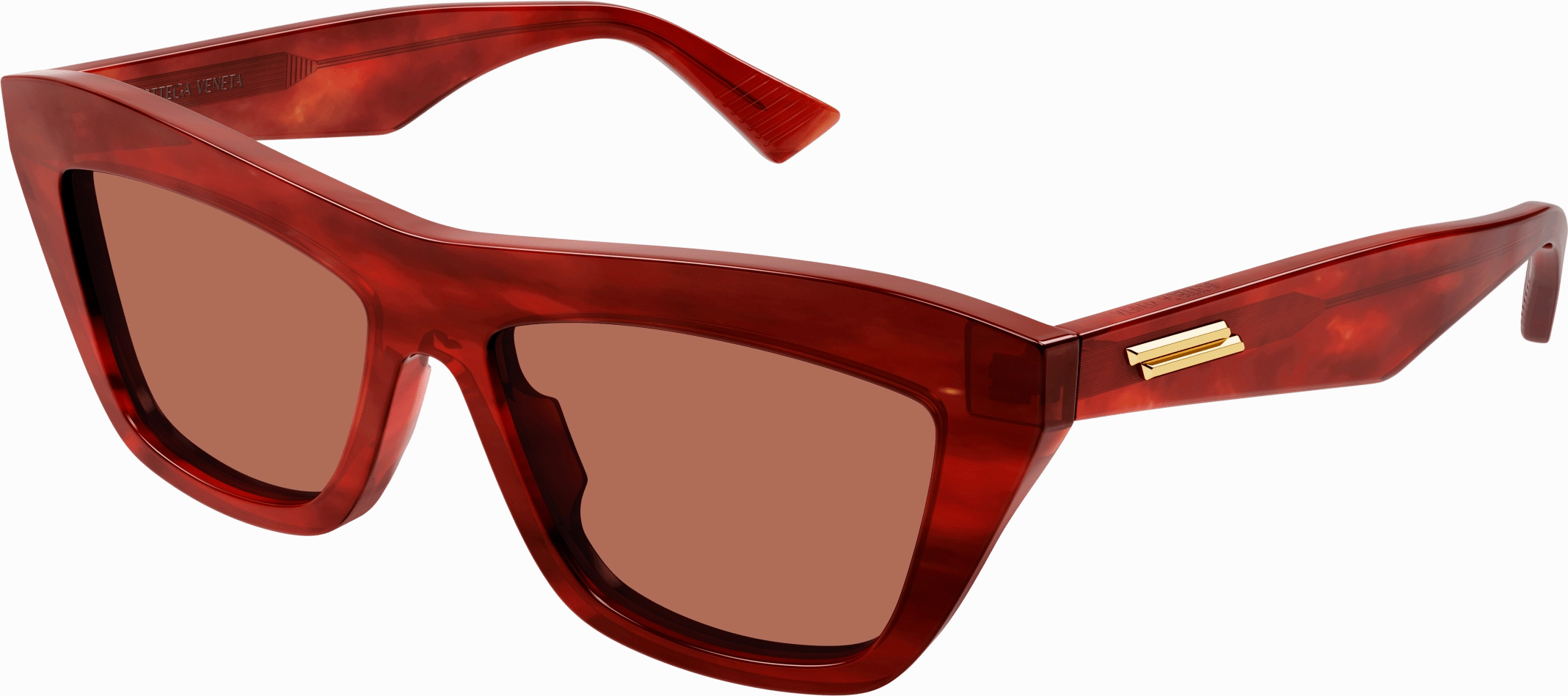 Bottega Veneta BV1121S