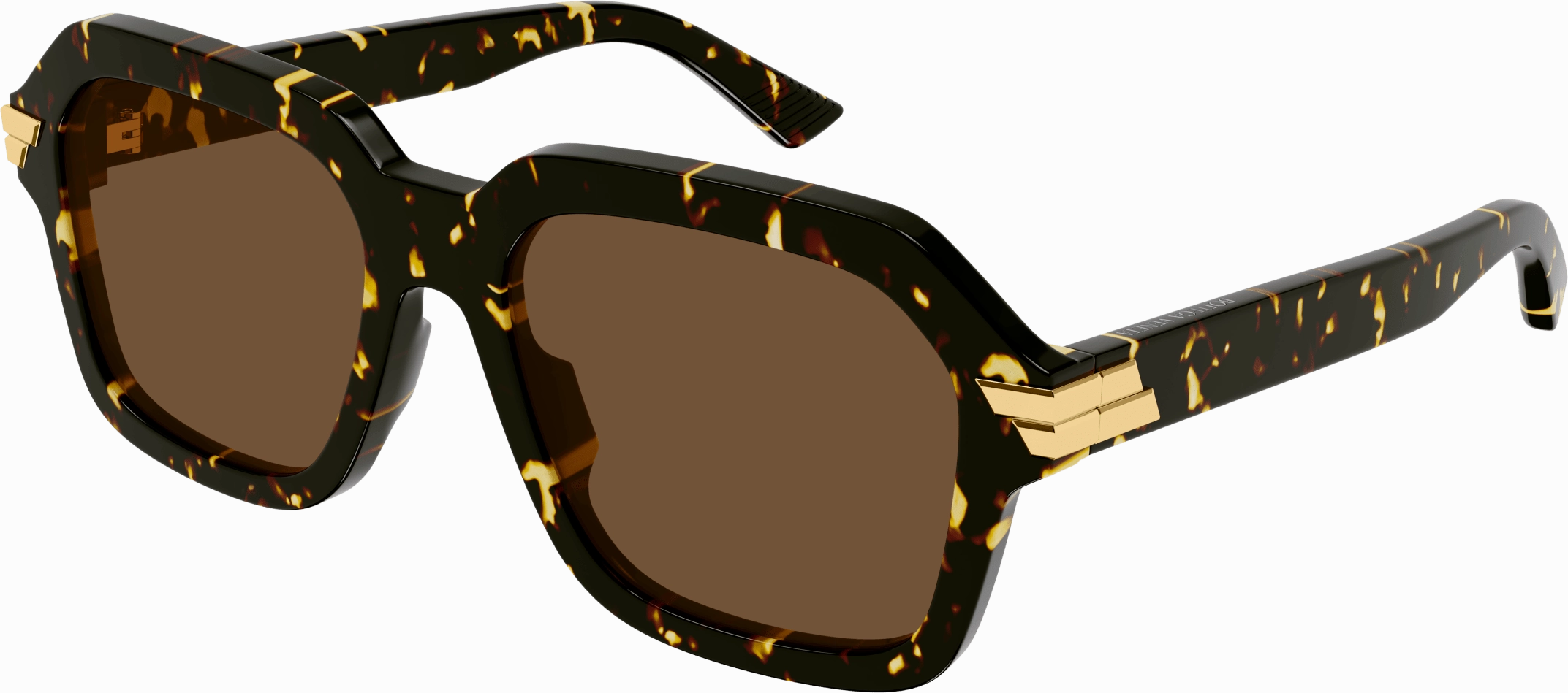Bottega Veneta BV1123S