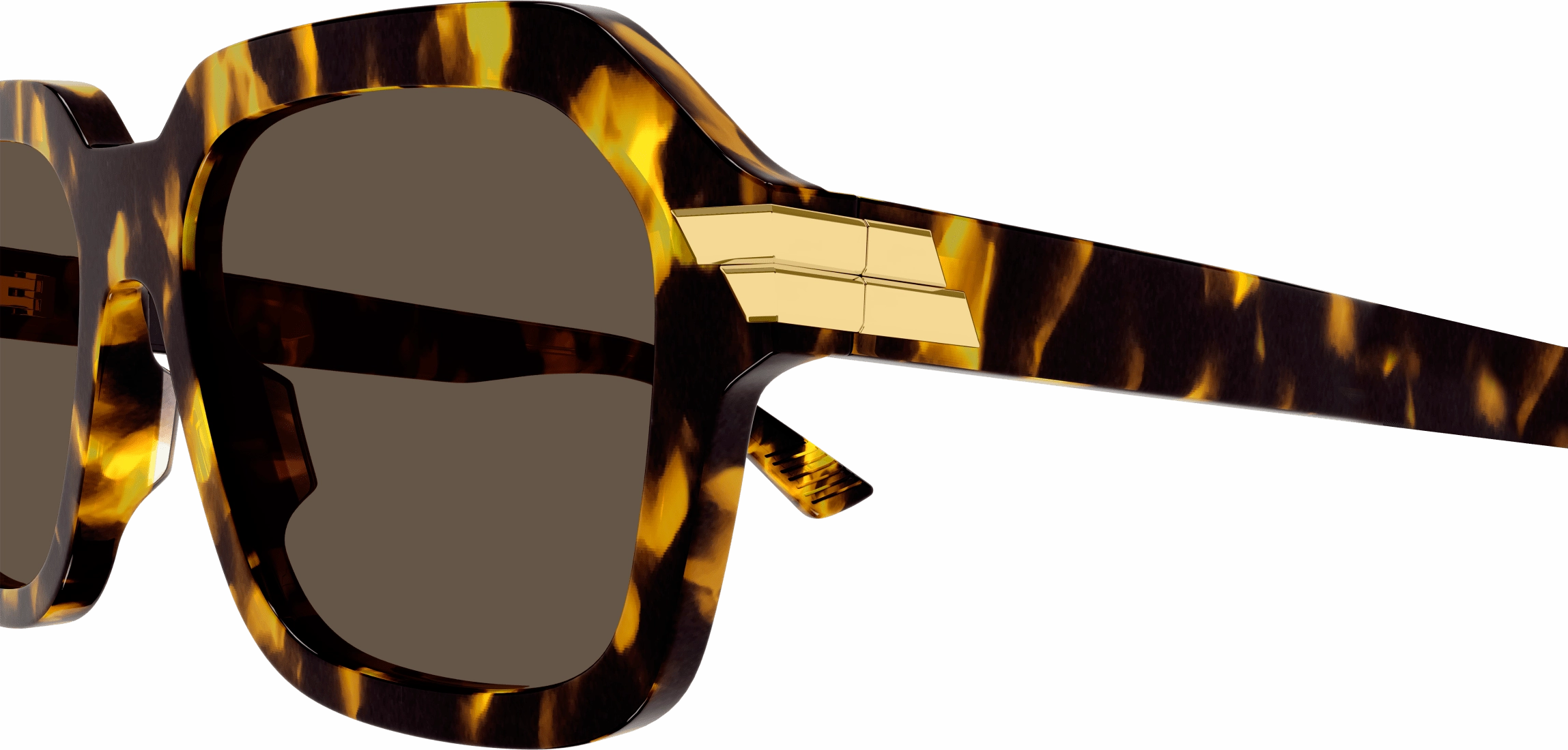 Bottega Veneta BV1123S