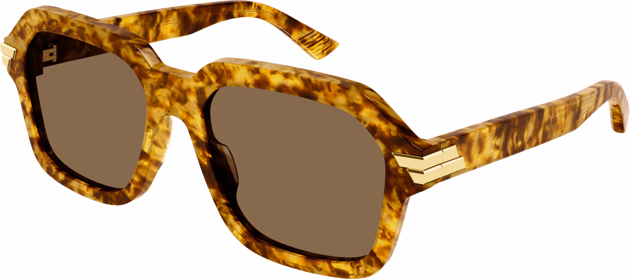 Bottega Veneta BV1123S