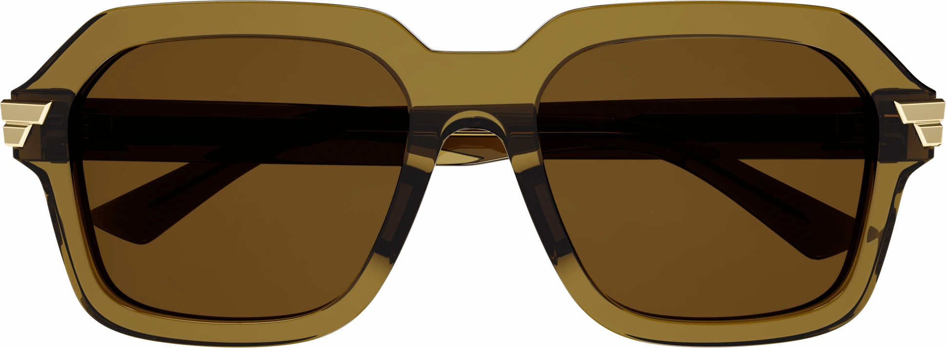 Bottega Veneta BV1123S