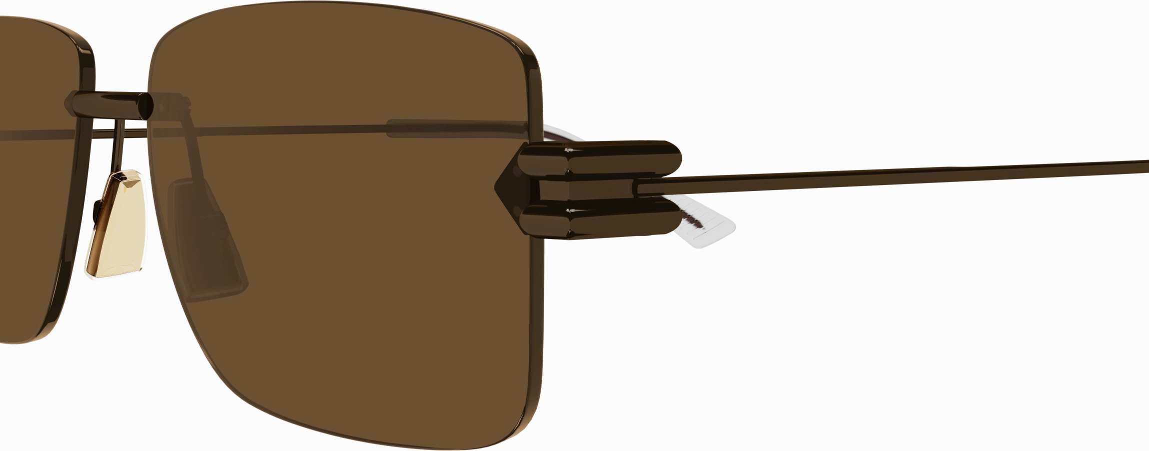 Bottega Veneta BV1126S