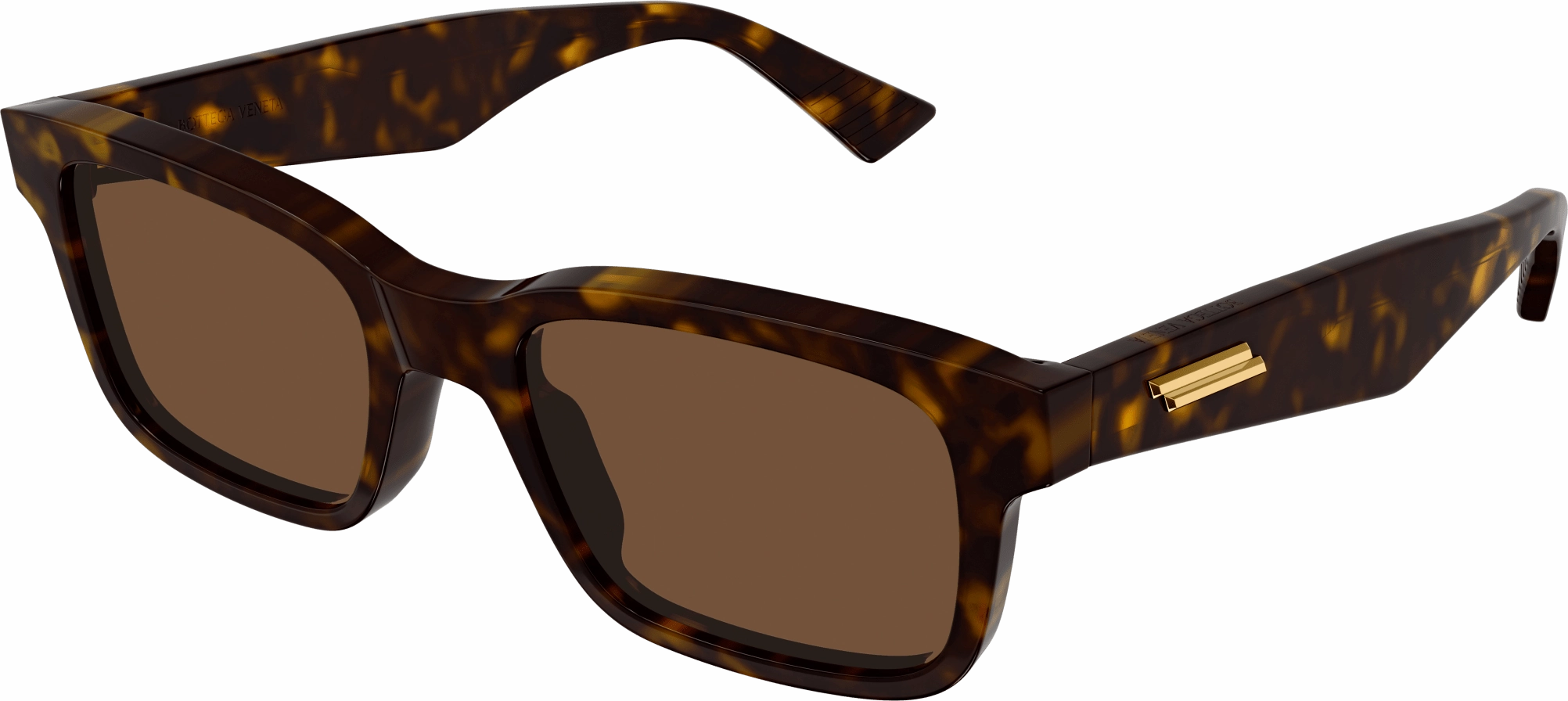 Bottega Veneta BV1146S
