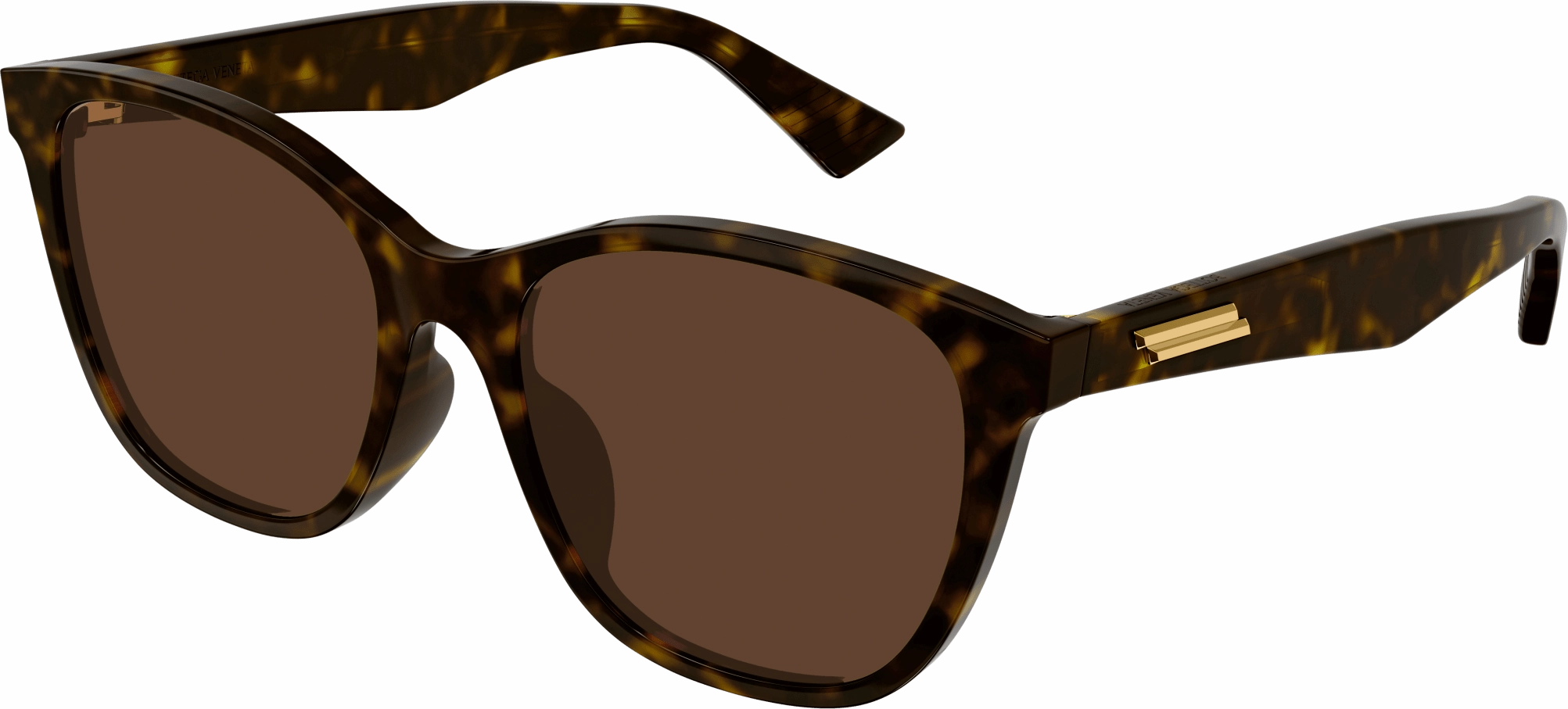 Bottega Veneta BV1151SA