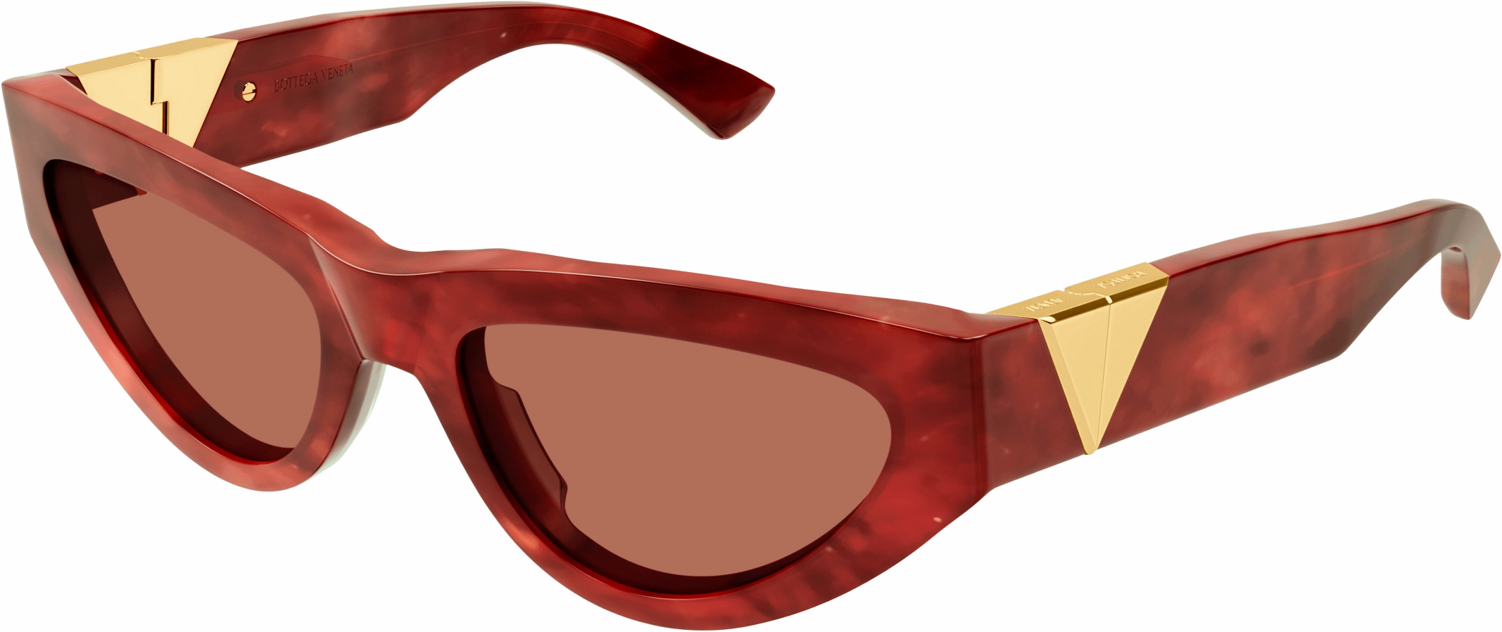 Bottega Veneta BV1176S