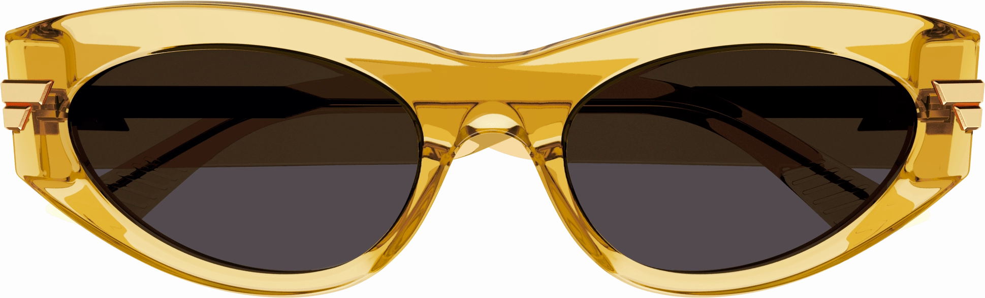 Bottega Veneta BV1189S