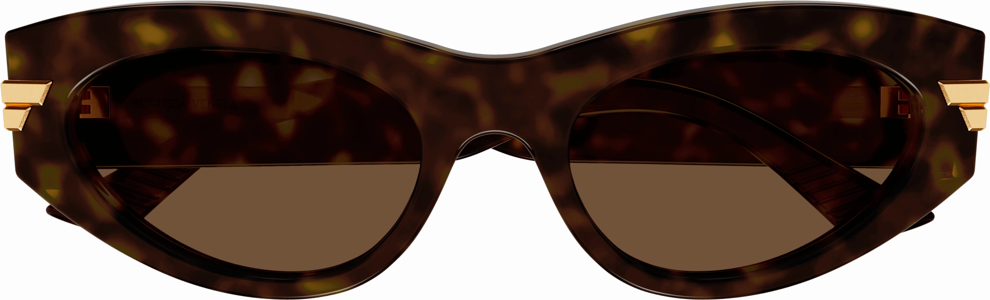 Bottega Veneta BV1189S