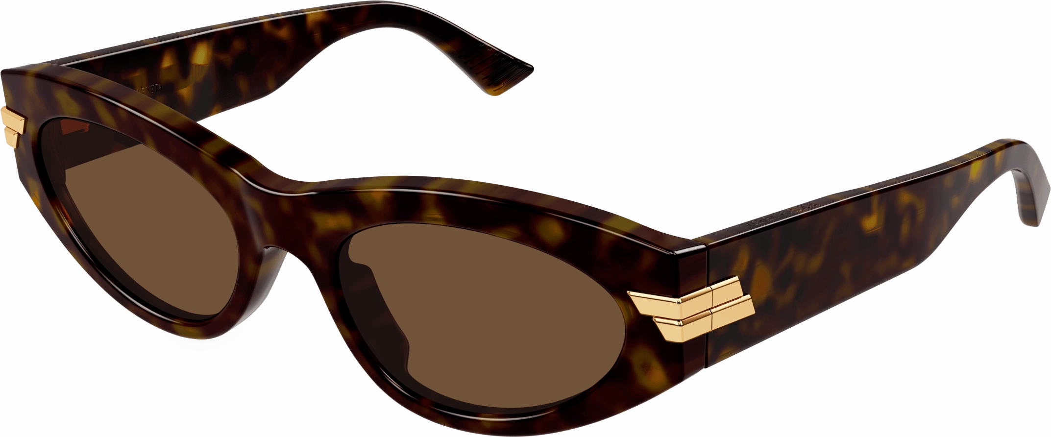 Bottega Veneta BV1189S