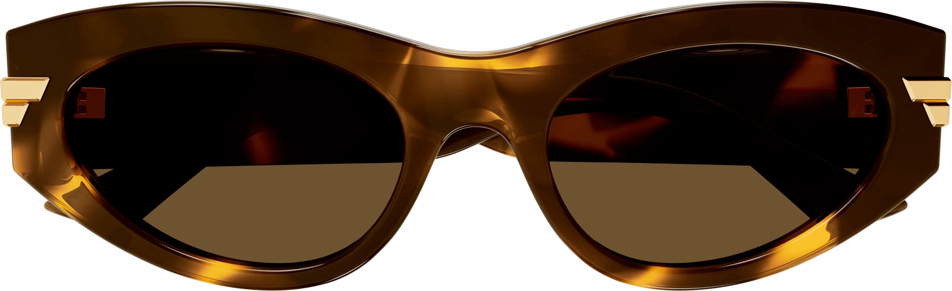 Bottega Veneta BV1189S