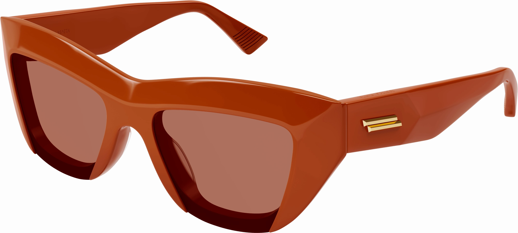 Bottega Veneta BV1218S