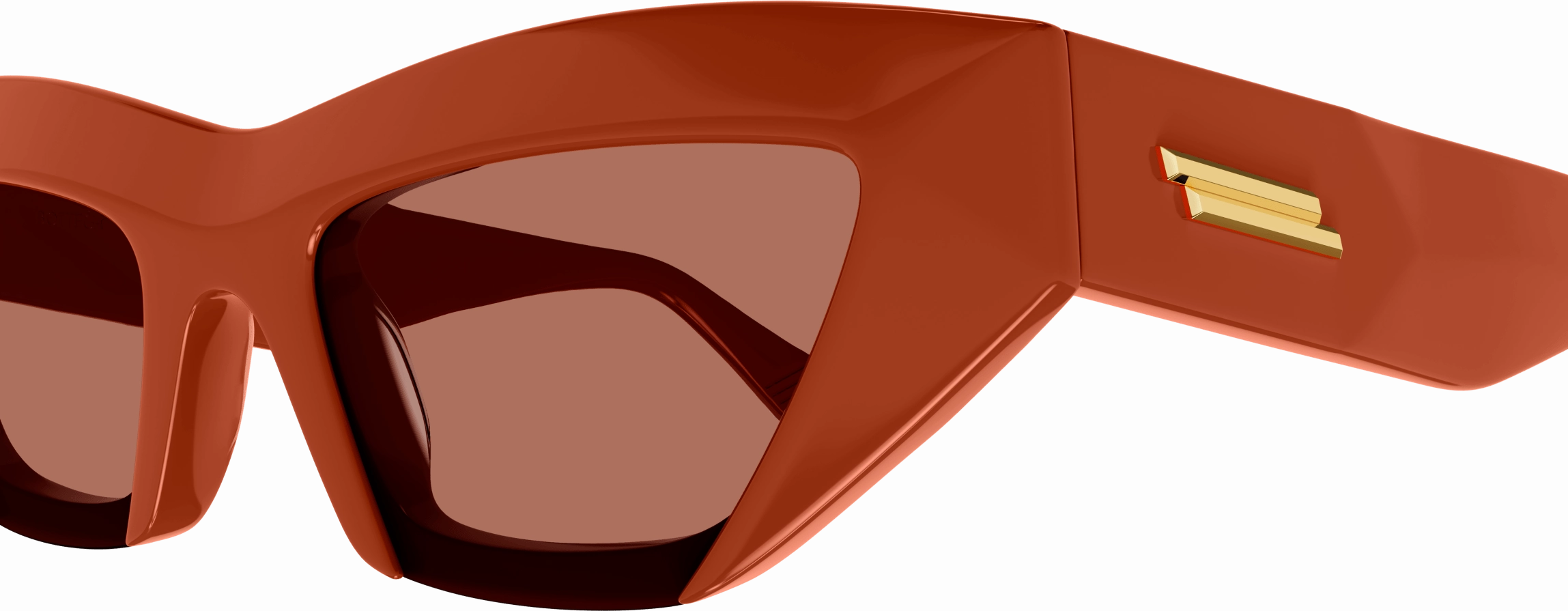 Bottega Veneta BV1219S