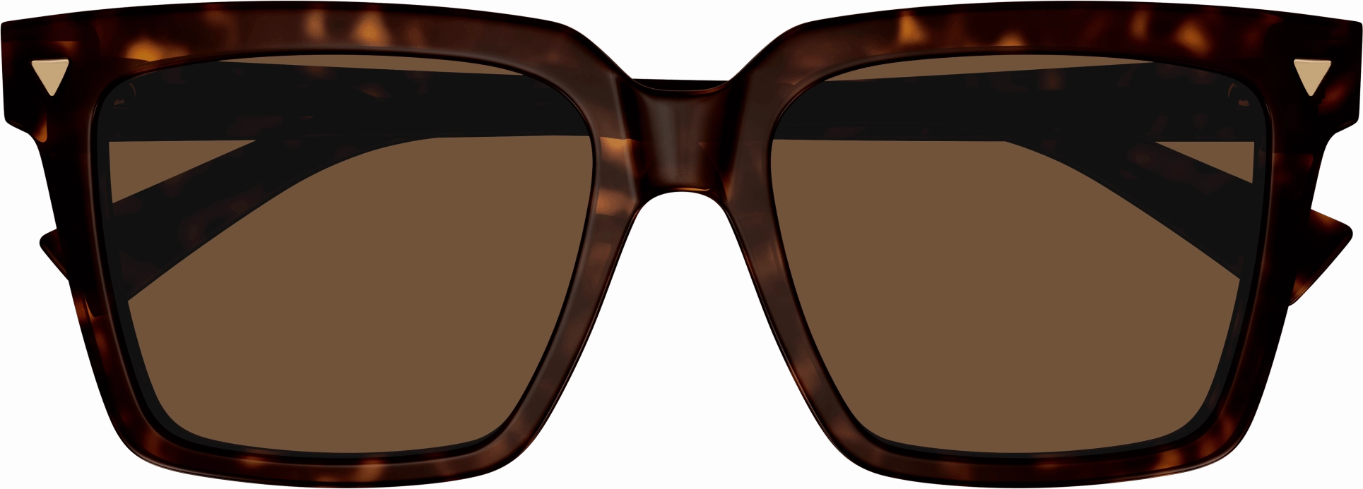 Bottega Veneta BV1254S