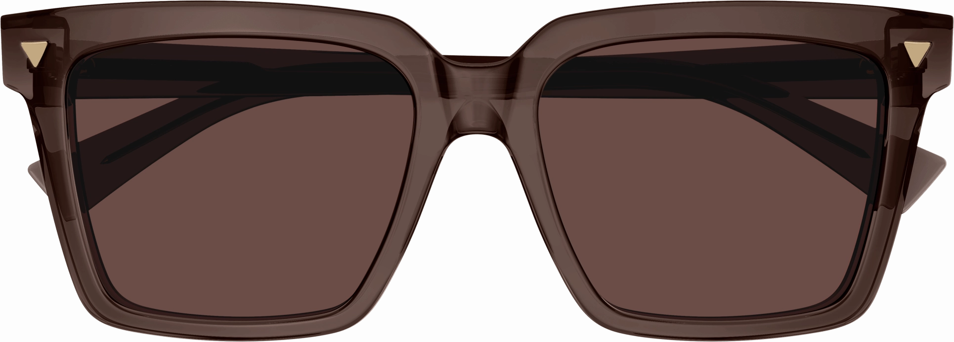 Bottega Veneta BV1254S