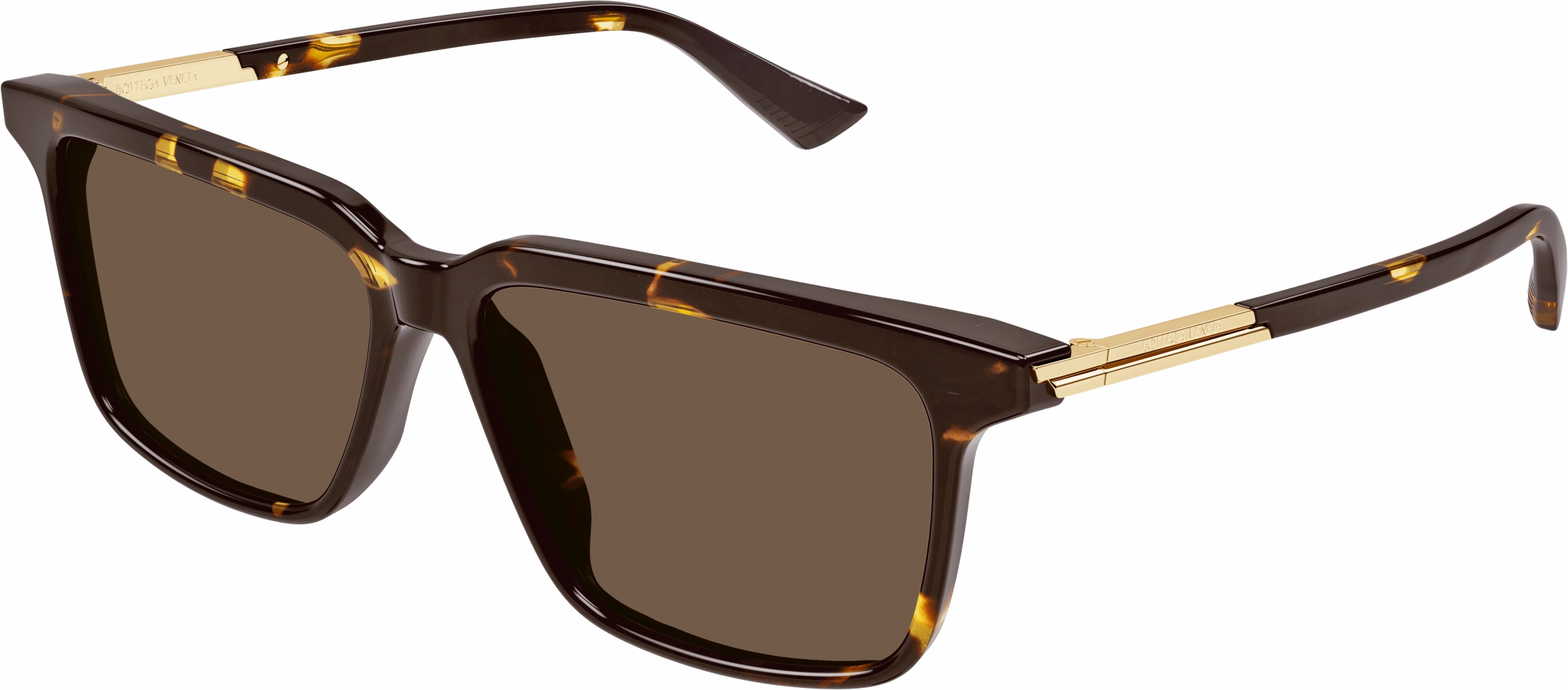 Bottega Veneta BV1261S