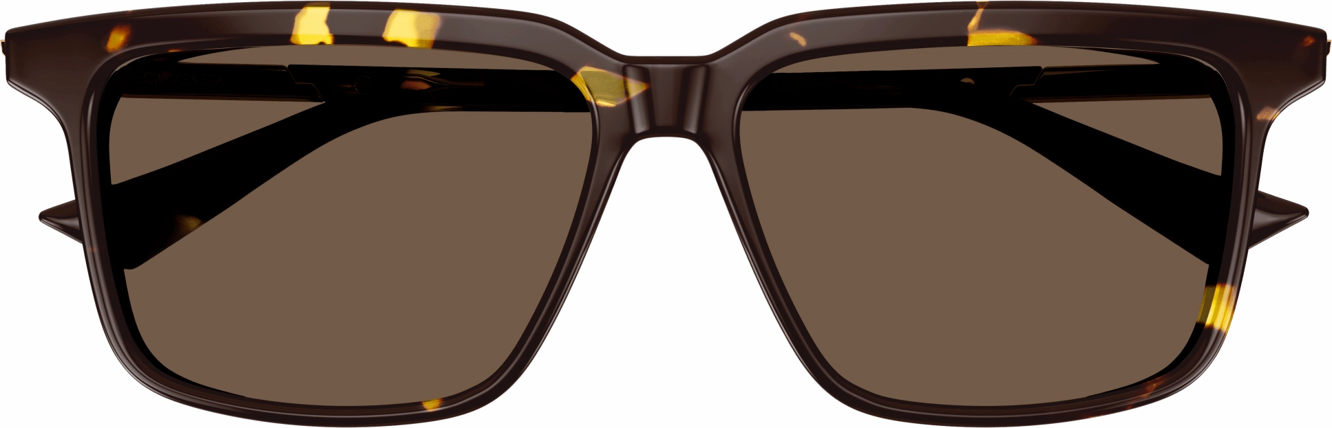 Bottega Veneta BV1261S