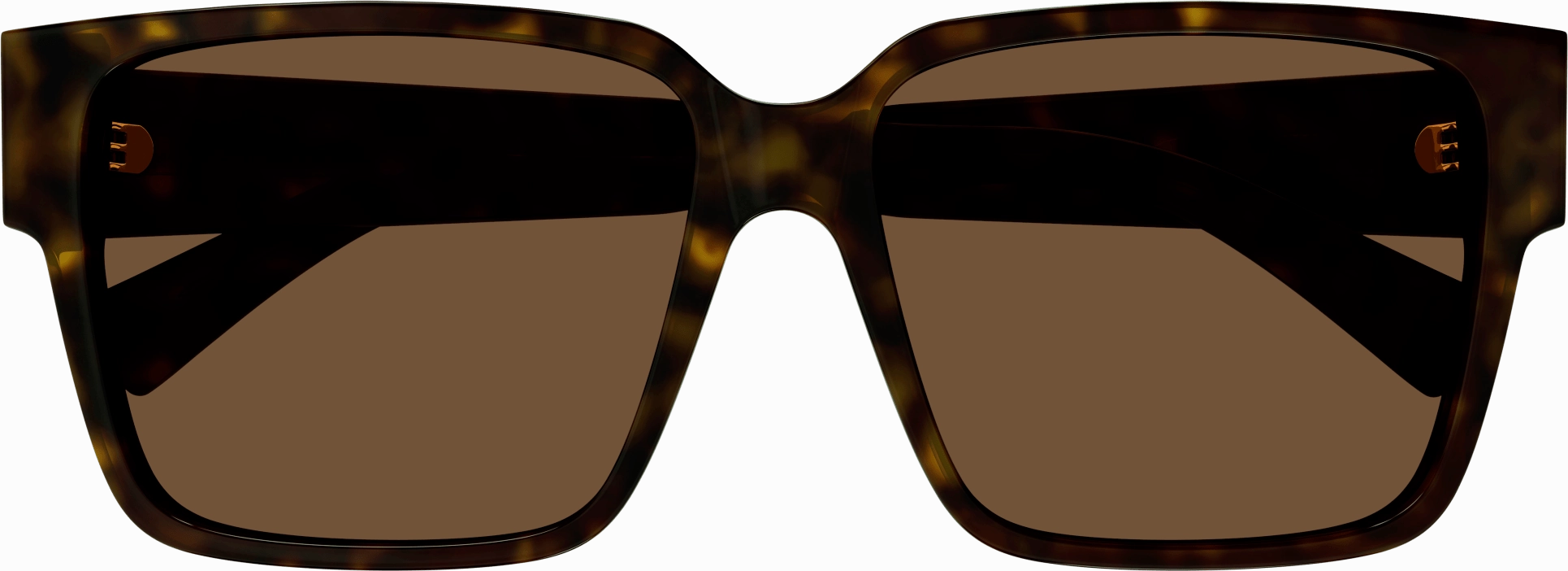 Bottega Veneta BV1287SA