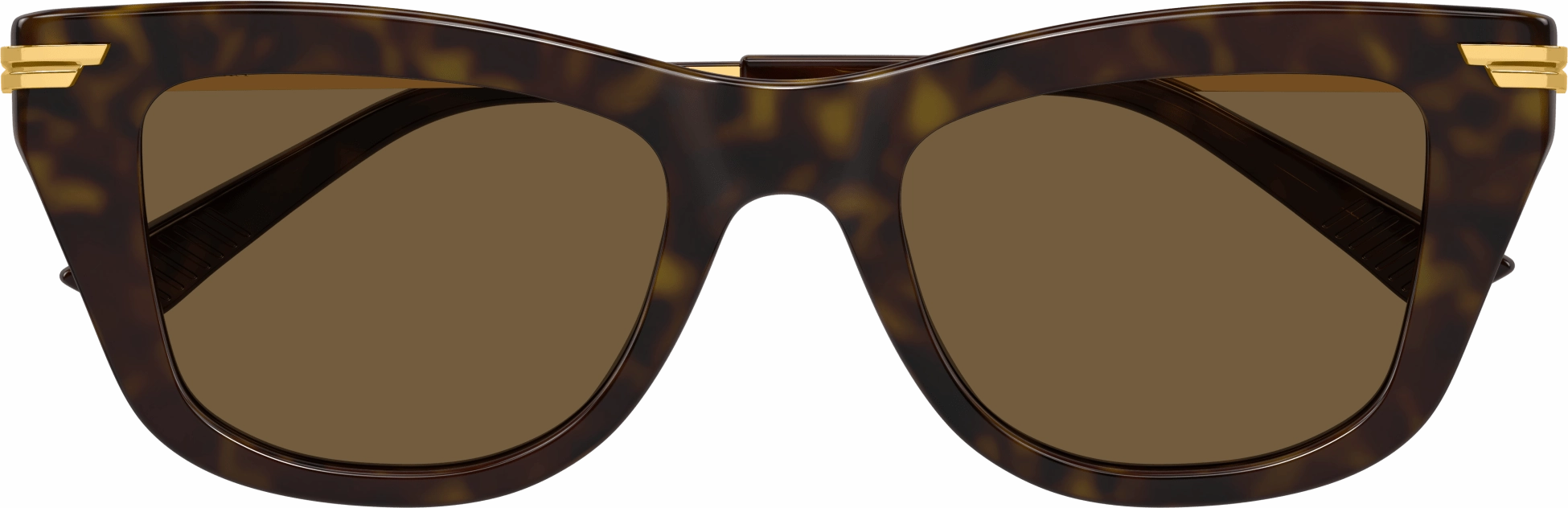 Bottega Veneta BV1369S