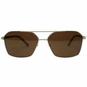 Calvin Klein Havana Brown Arms Gold Sunglasses