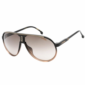 Carrera Brown Gradient Lens Black Detail Brown Sunglasses