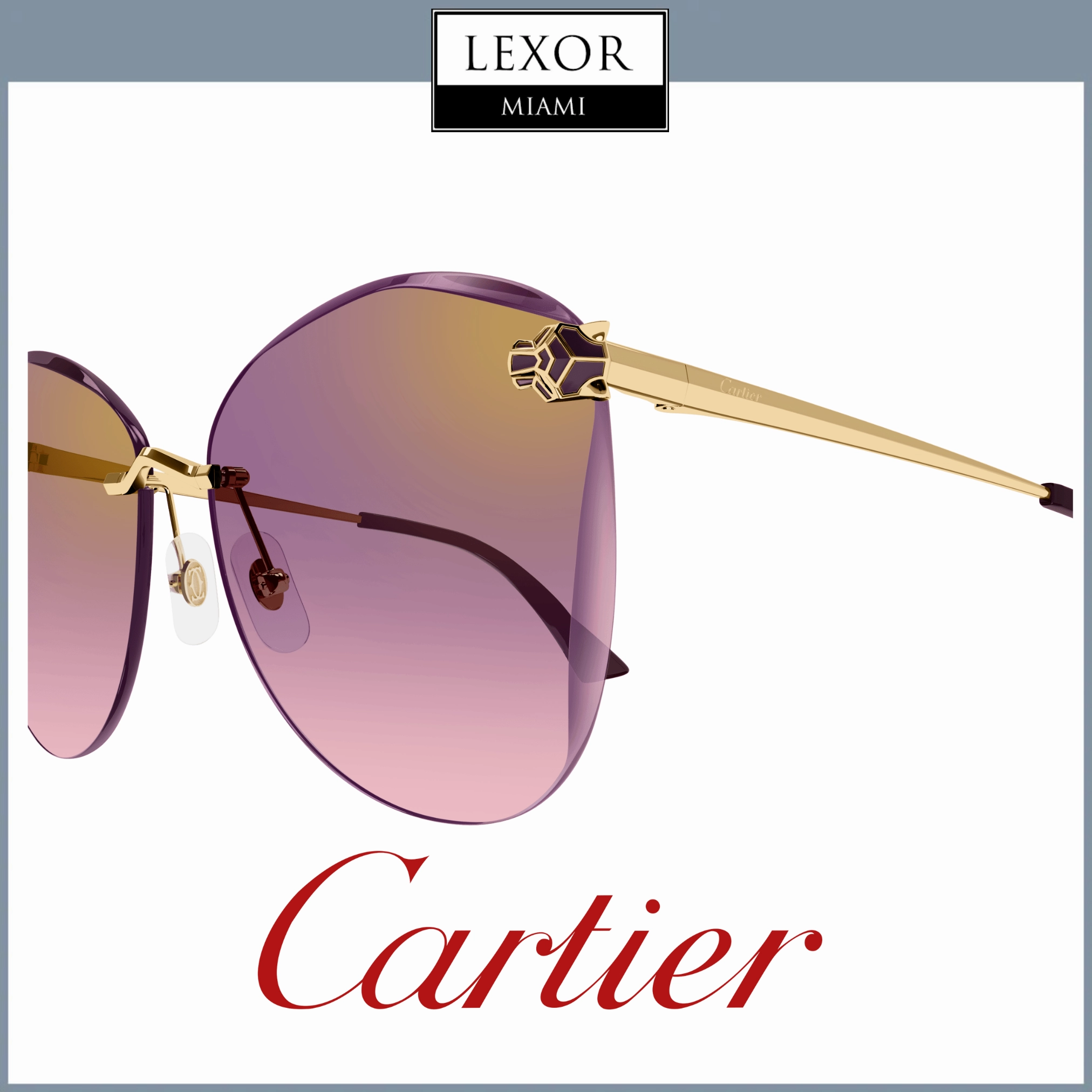 Cartier CORE RANGE CT0398S 003 62 Woman Sunglasses