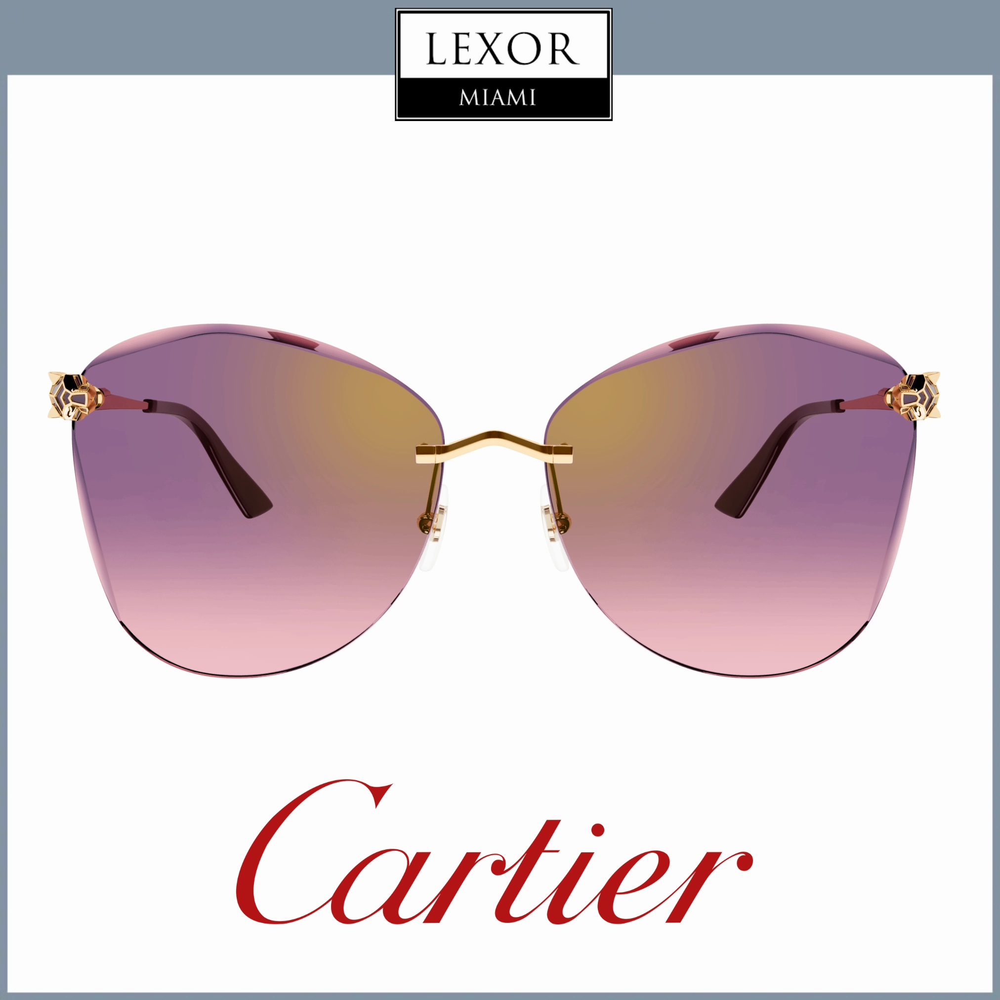 Cartier CORE RANGE CT0398S 003 62 Woman Sunglasses