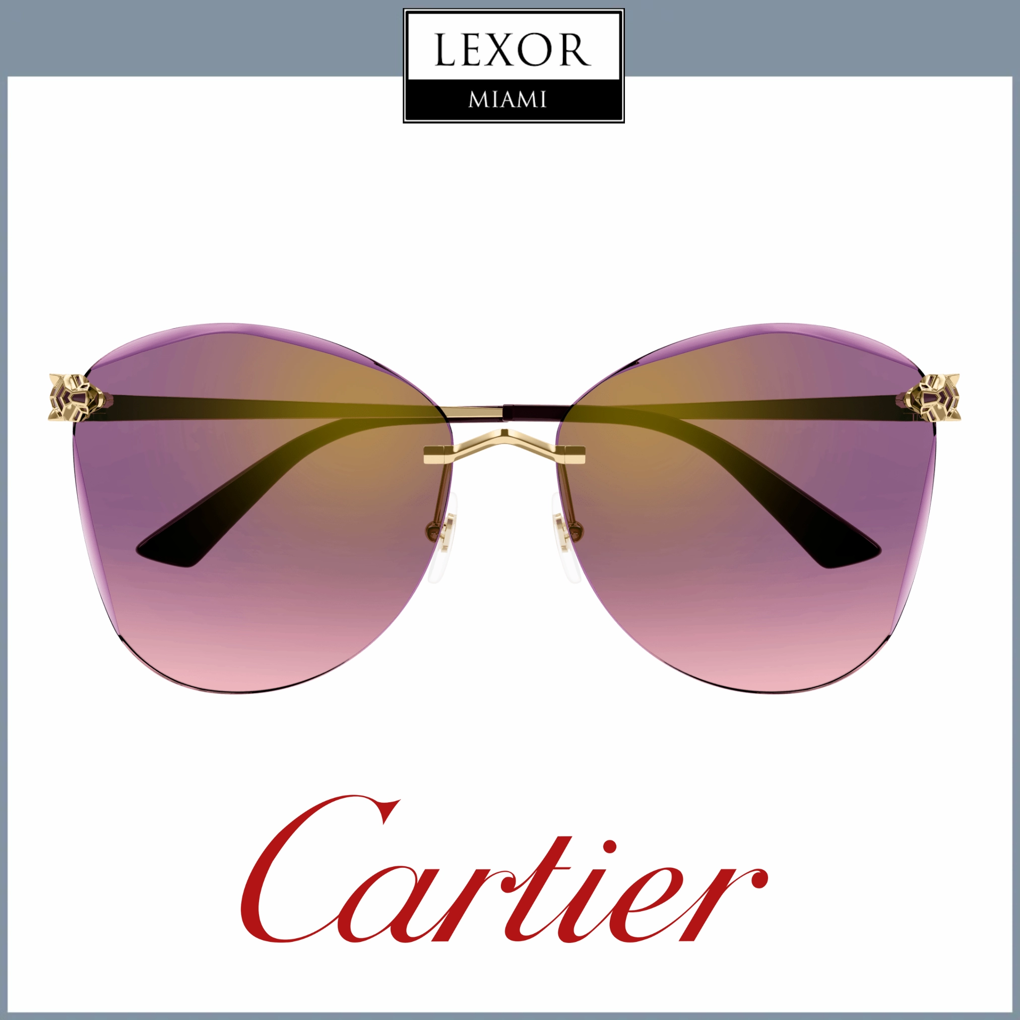 Cartier CORE RANGE CT0398S 003 62 Woman Sunglasses