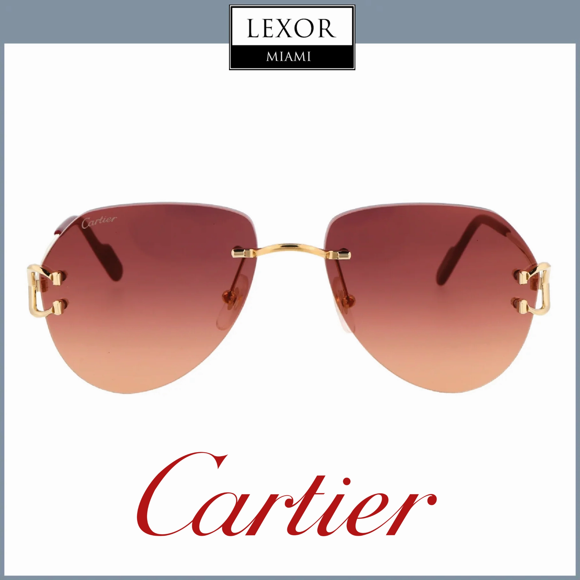 Cartier CT0001CS 014 53 Woman Metal Sunglasses