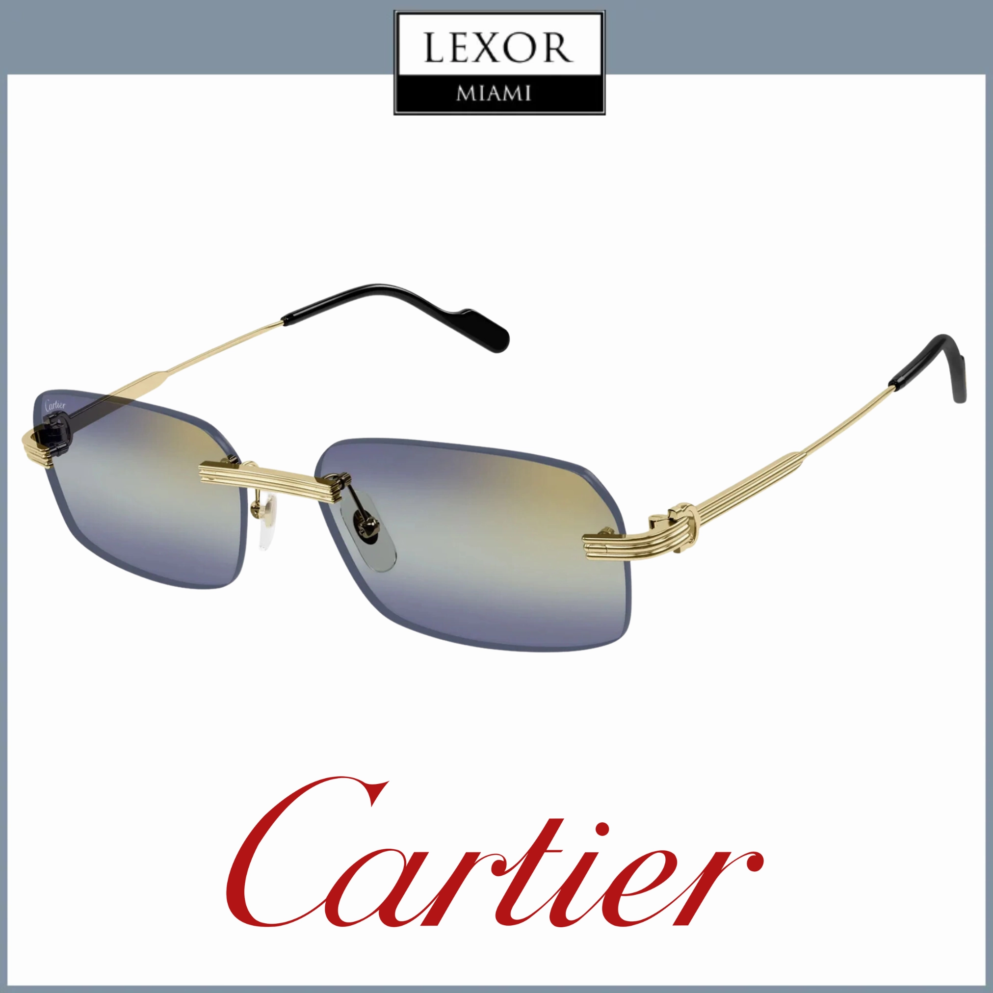 Cartier CT0271S-006 58 Sunglass MAN METAL
