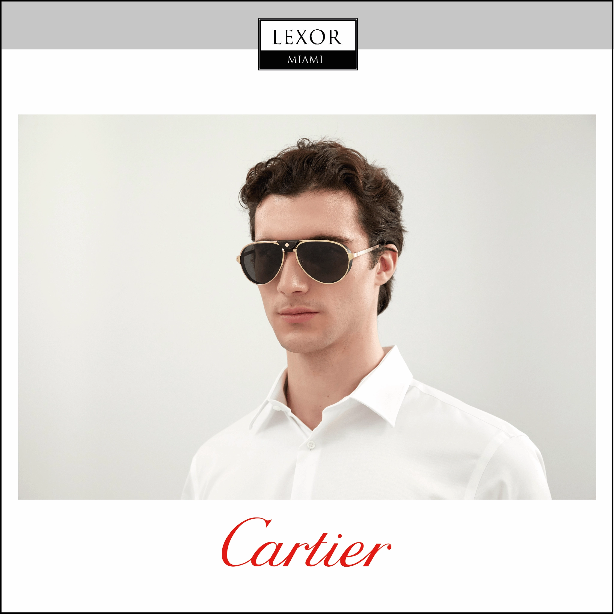 Cartier CT0296S-001 Santos de Cartier Unisex Sunglasses