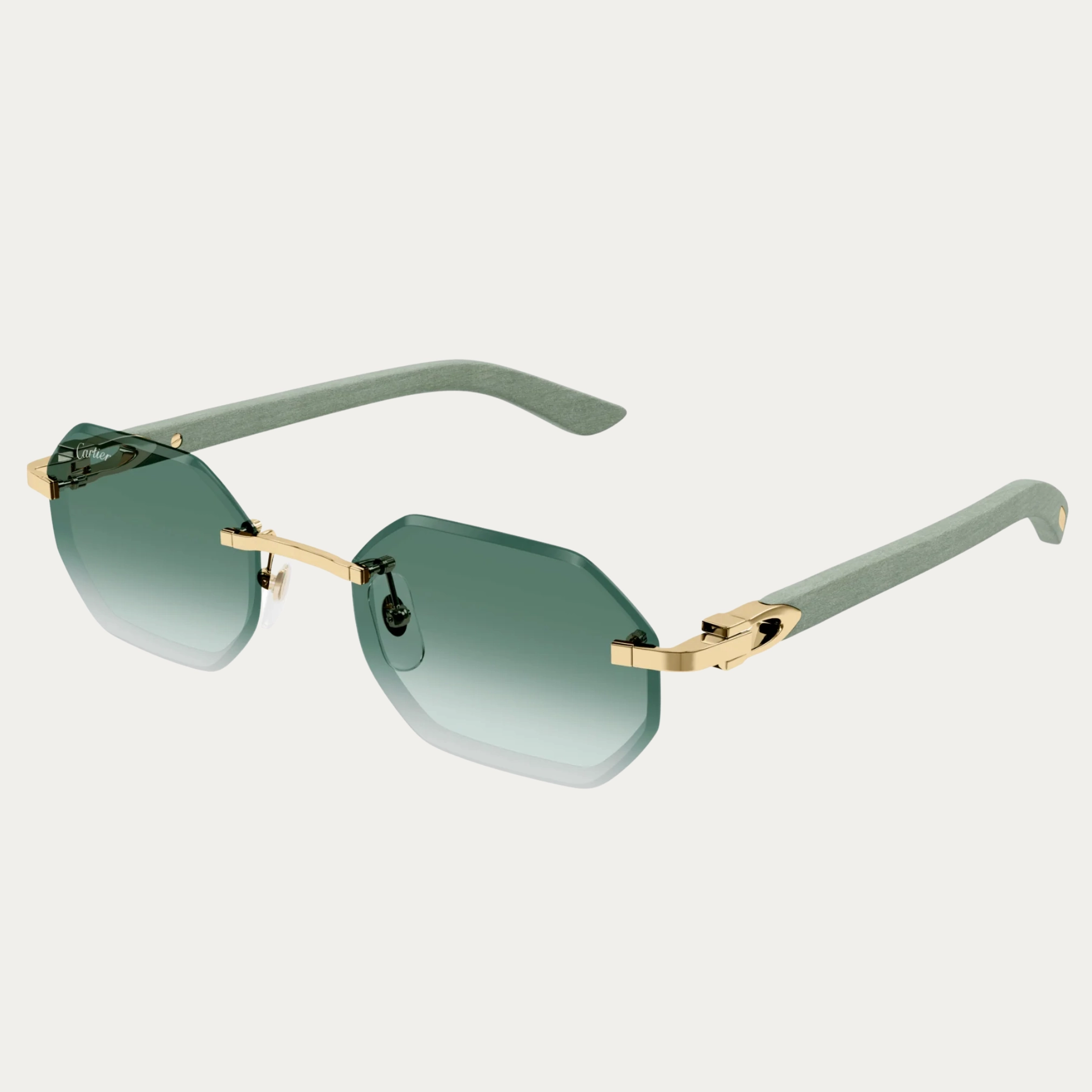 Cartier CT0439S-004 54 Woman Sunglasses