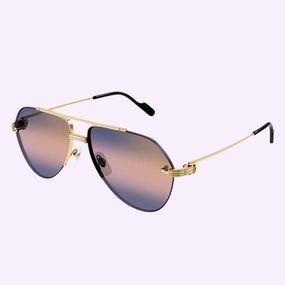 Cartier Sunglasses CT0427S-004 58 Men upc 843023172169
