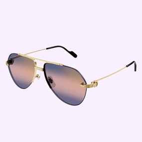 Cartier Sunglasses CT0427S-004 58 Men upc 843023172169