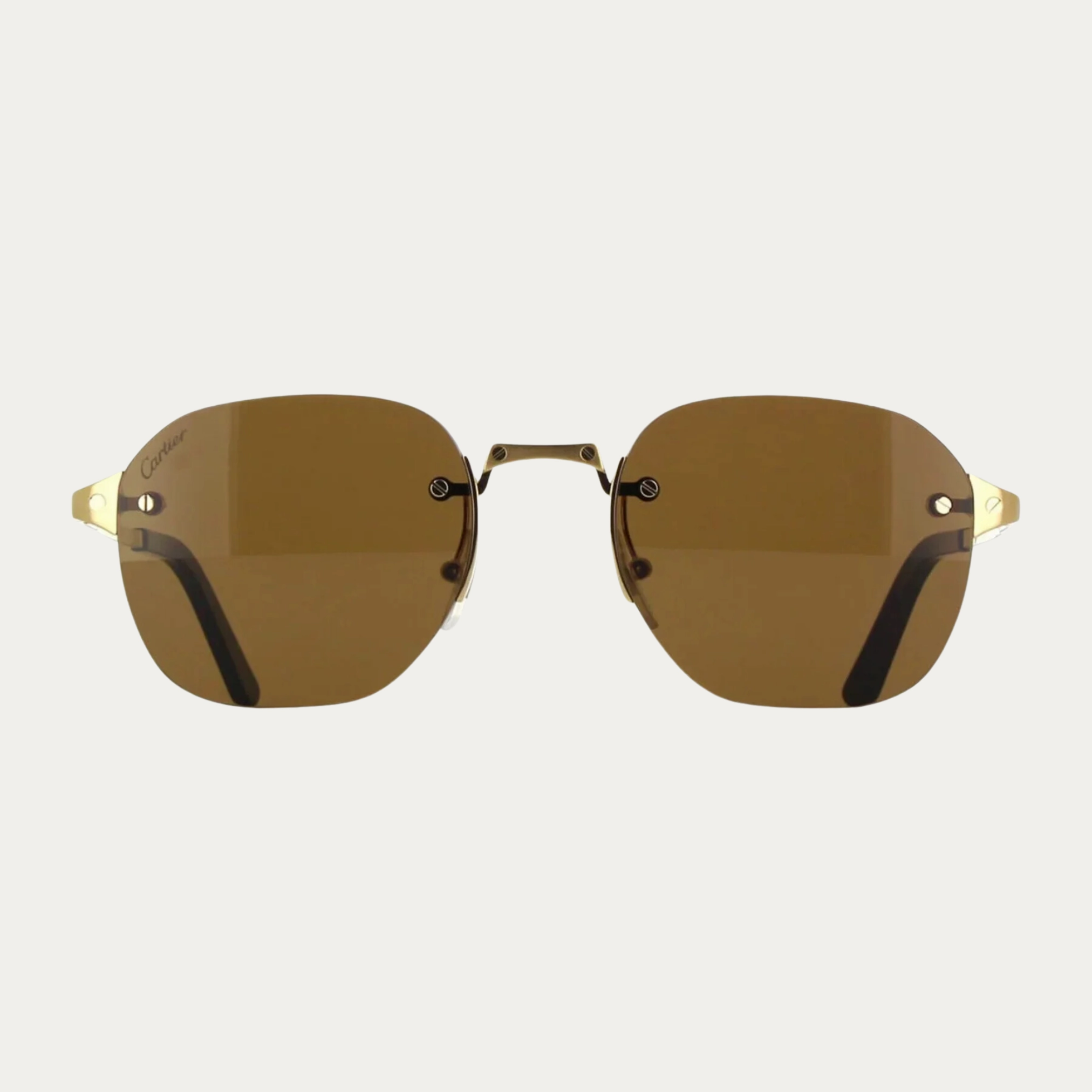Cartier Sunglasses CT0459S-006 53 Men upc 843023176341