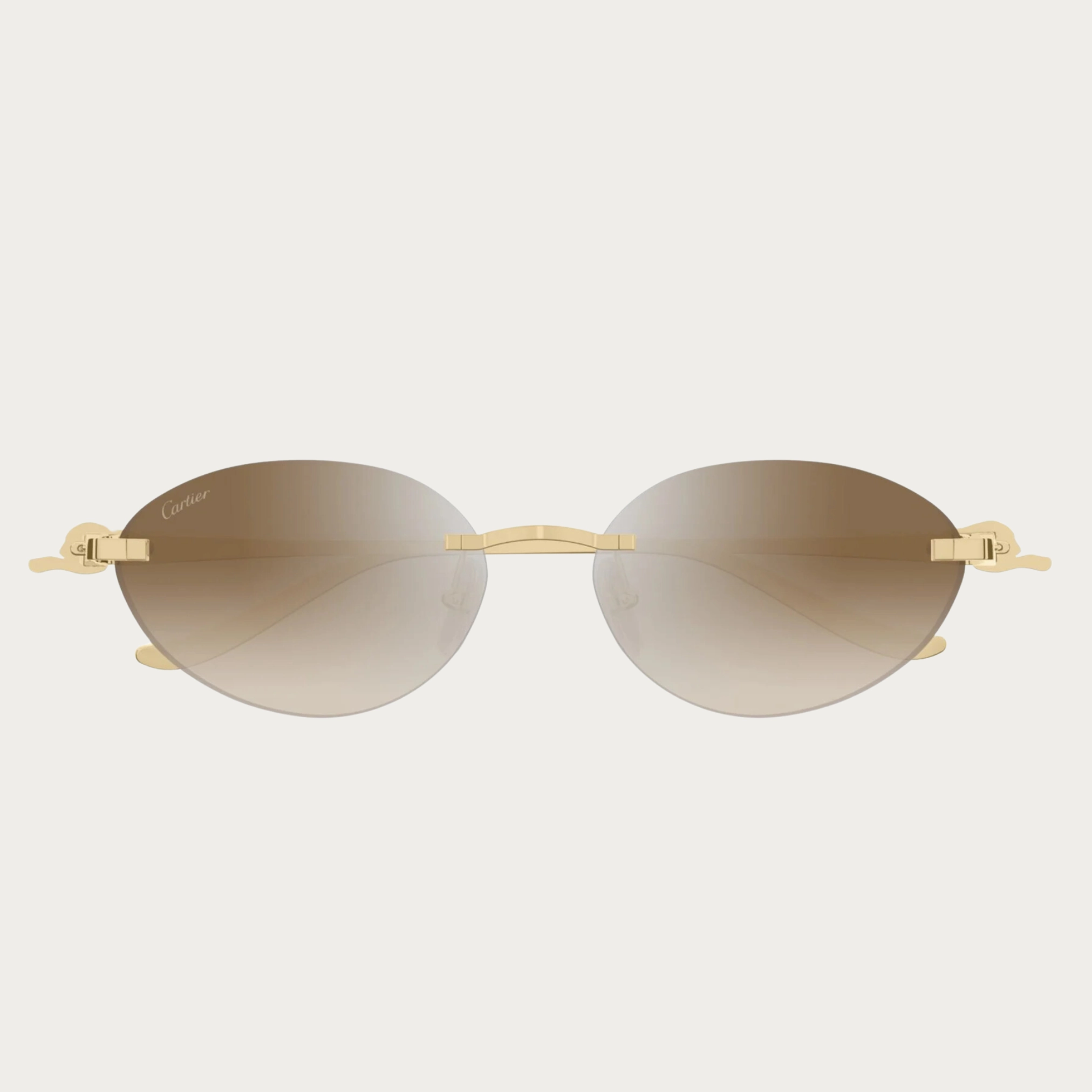 Cartier Sunglasses CT0504S-003 58 upc 843023178826