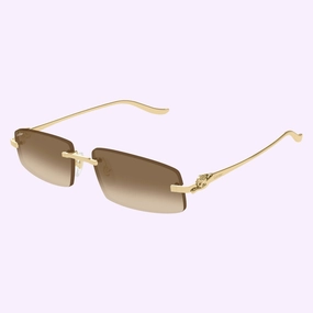 Cartier Sunglasses CT0505S-003 58 upc 843023178864