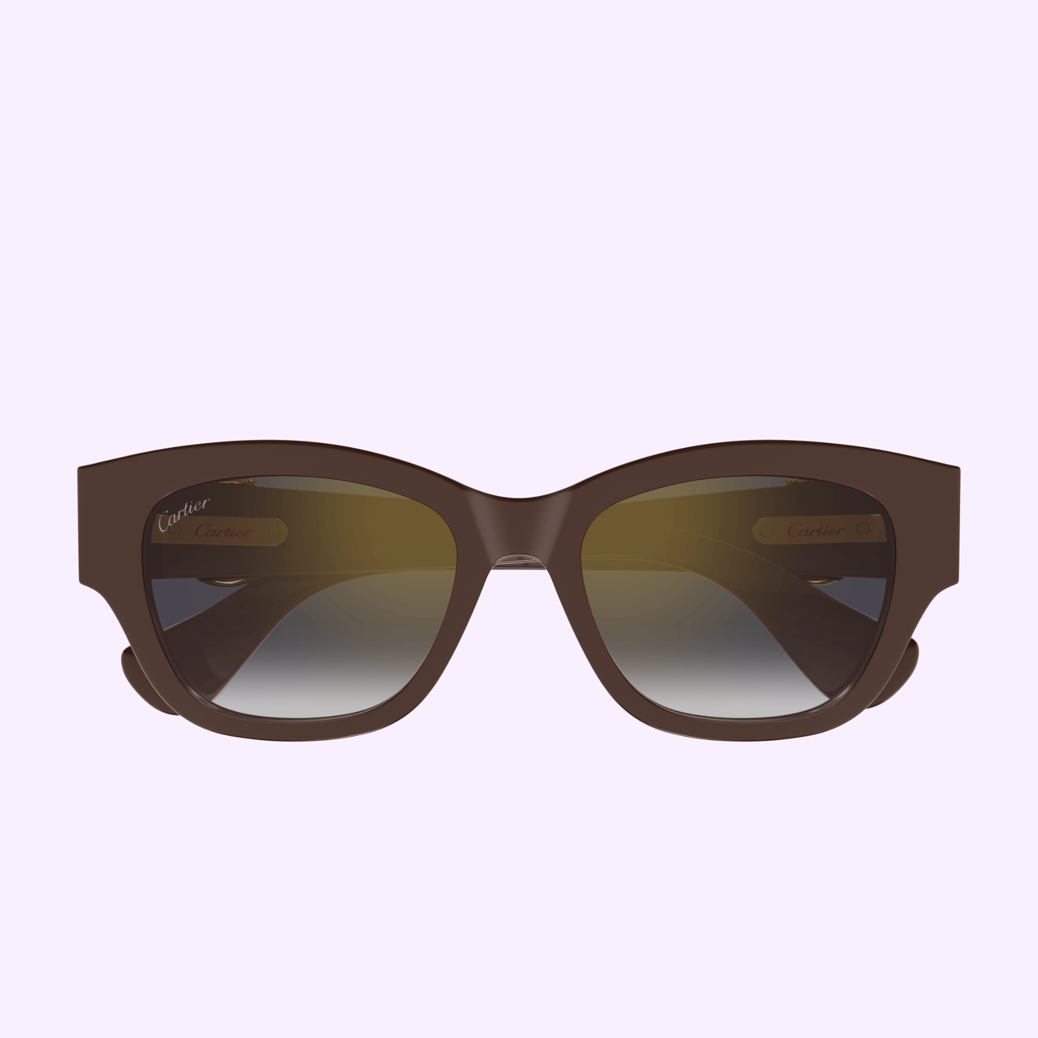 Cartier Sunglasses CT0548SA-003 55 upc 843023181390