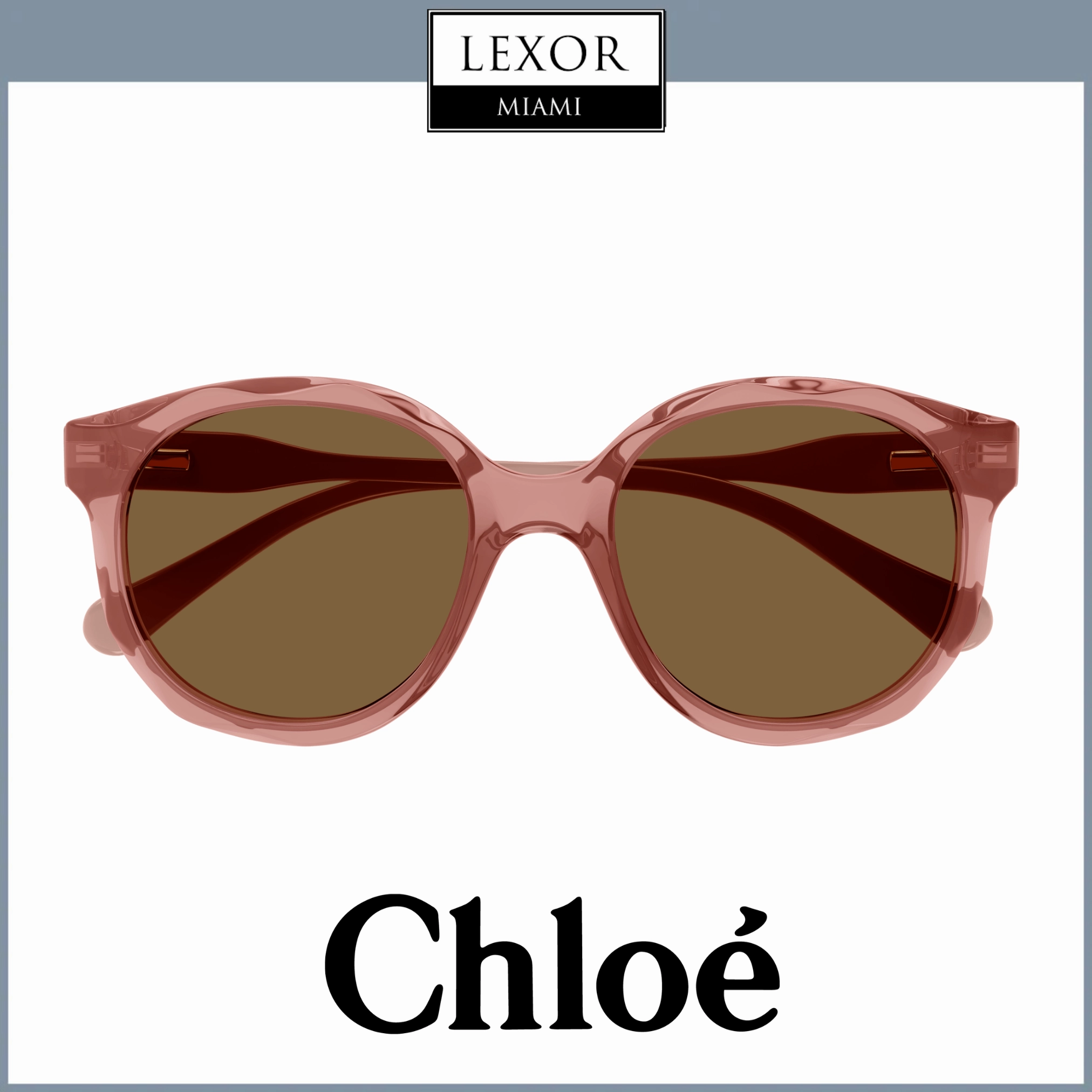 Chloe Sunglasses CC0019S-002 47 KId Acetate upc 889652484679