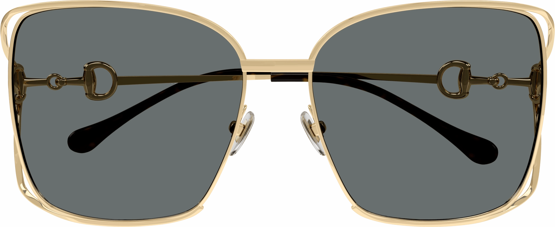 Gucci GG1020S