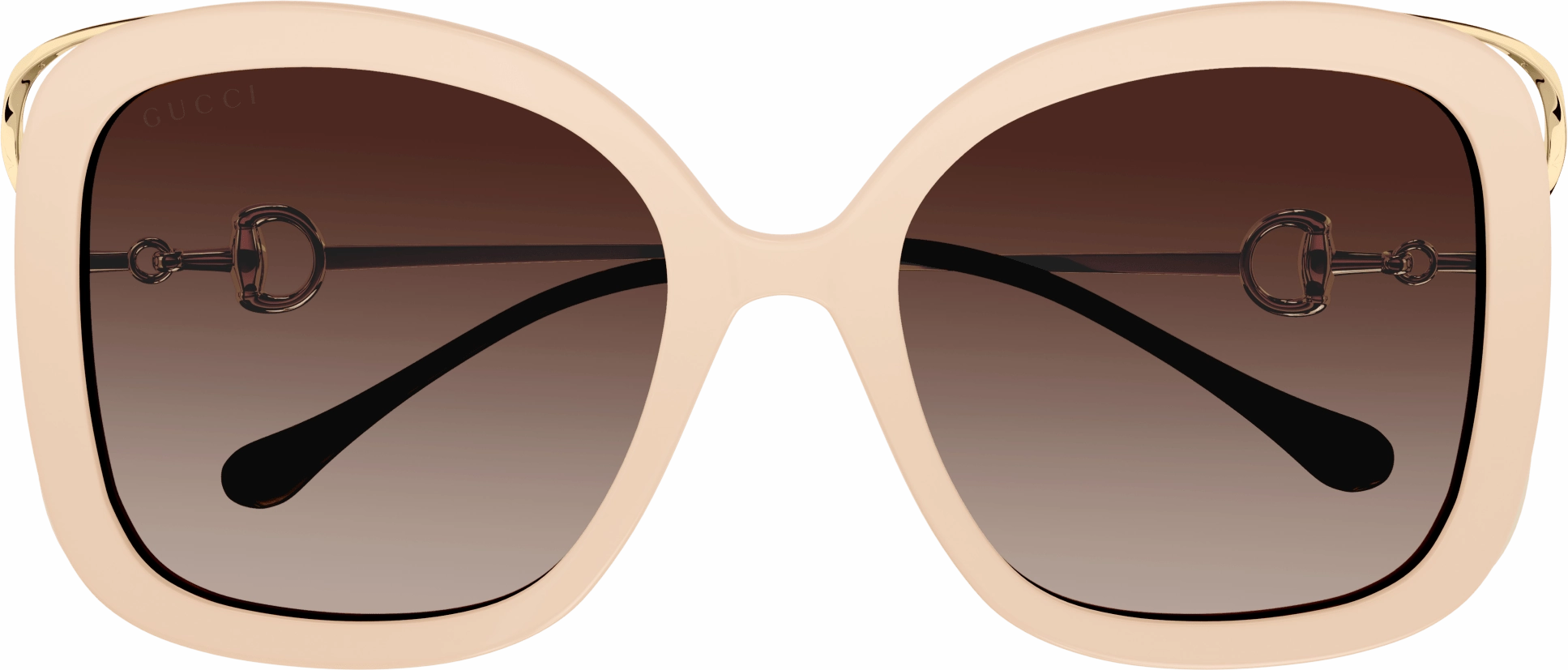 Gucci GG1021S