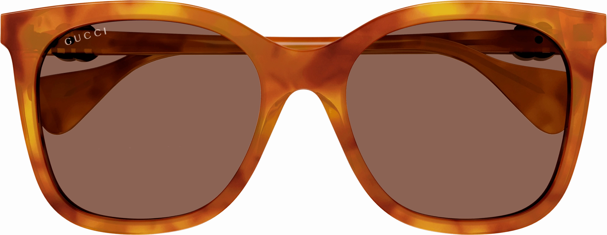Gucci GG1071S