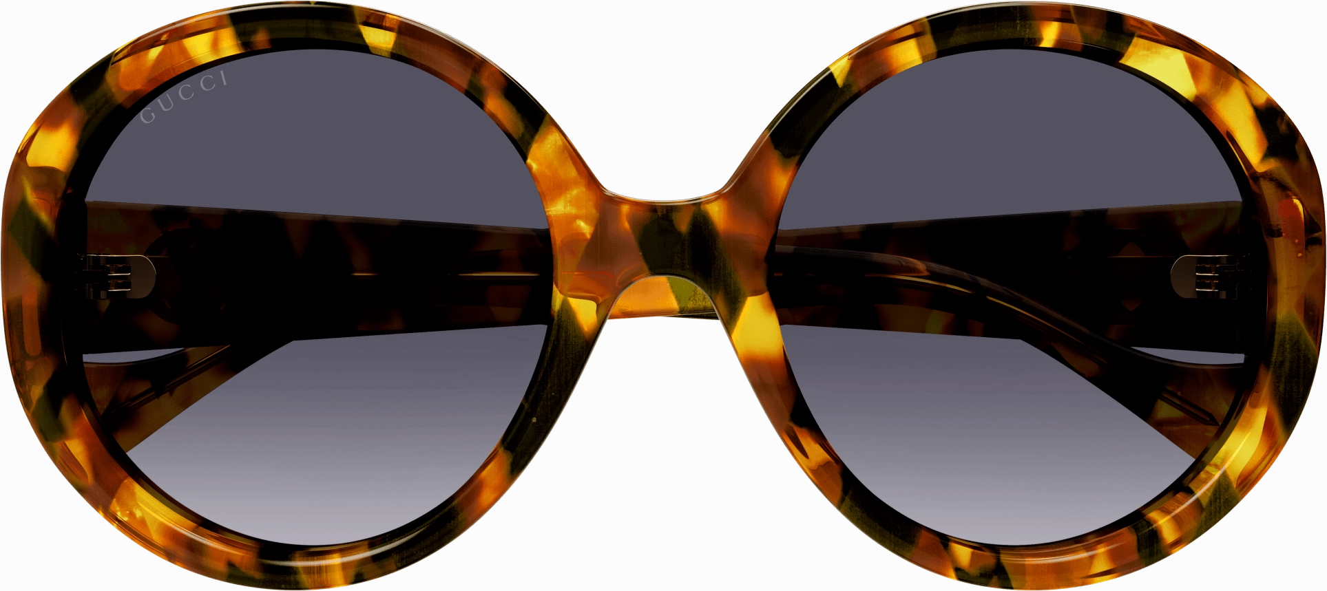 Gucci GG1256S