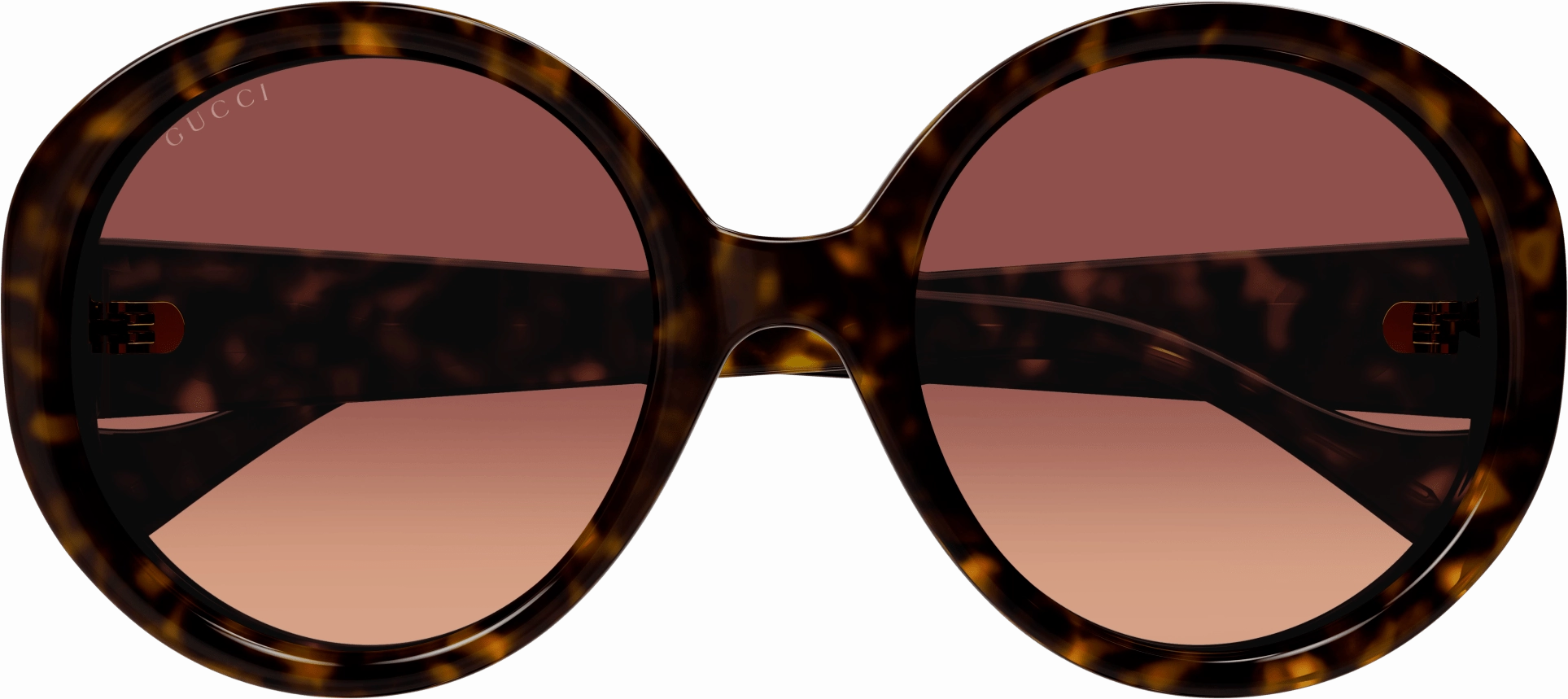 Gucci GG1256S