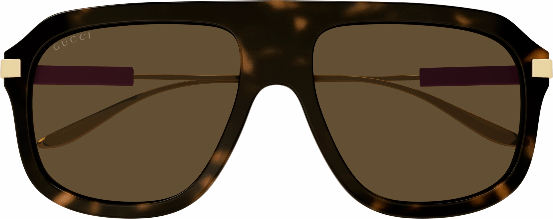 Gucci GG1309S